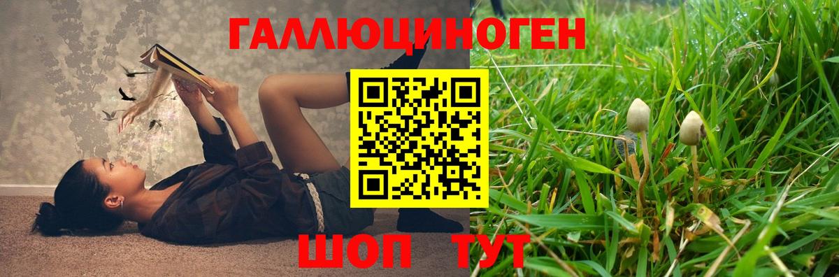 Конаково  Псилоцибиновые грибы Psilocybine cubensis  Вход с VPN 