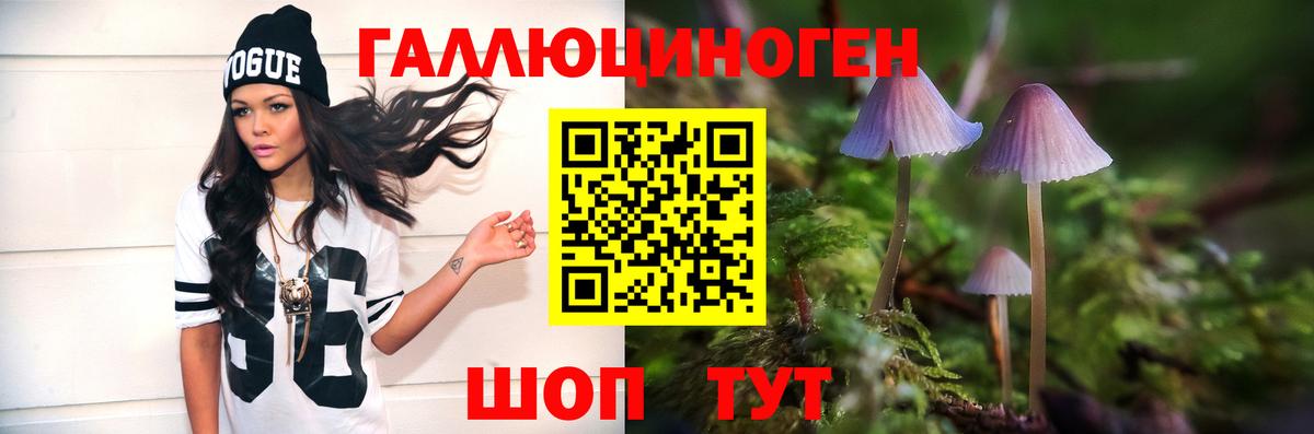 Псилоцибиновые грибы Psilocybine cubensis Конаково